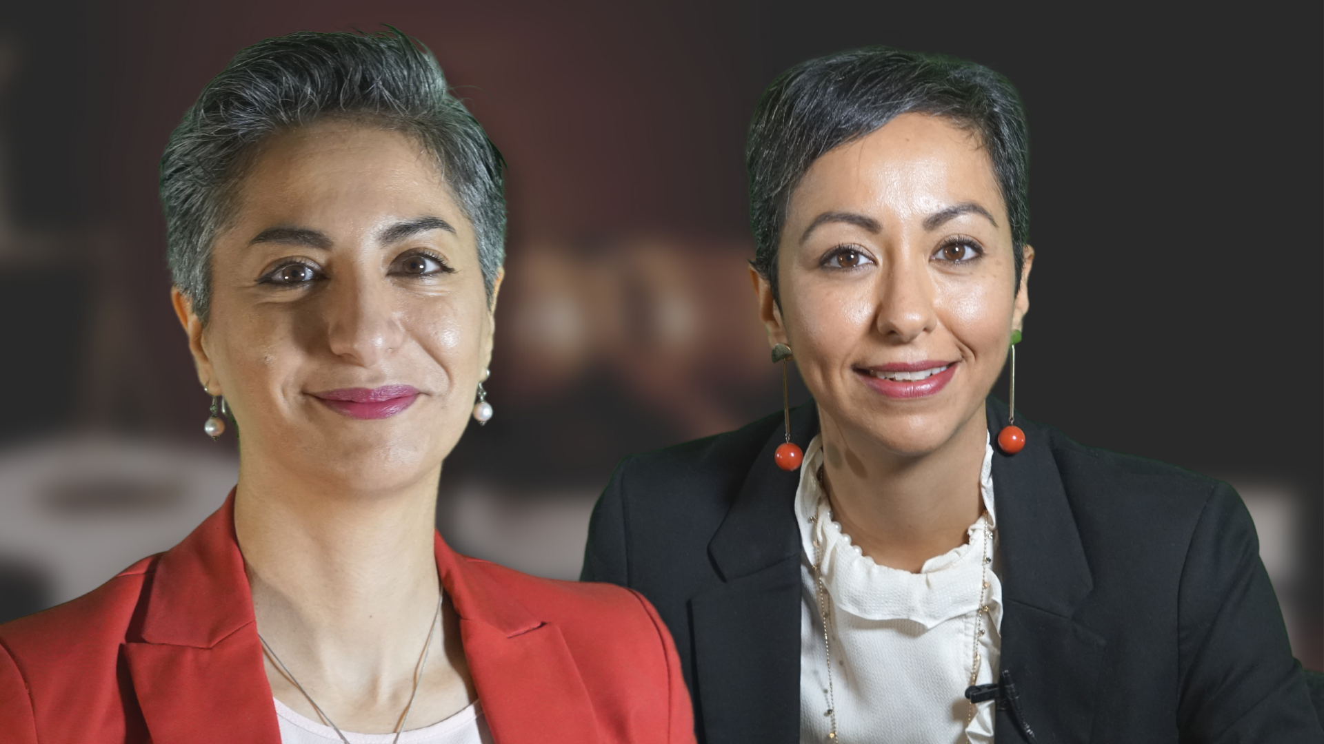 ما هي أبرز التغييرات القانونية حول العنف ضد الحيوان في إطار العنف الأسري في السويد؟