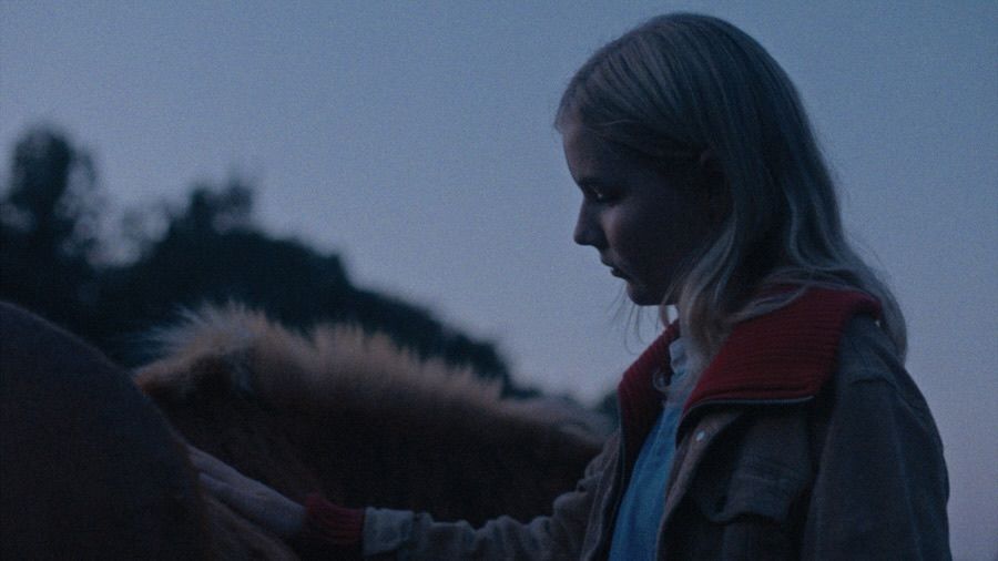 لقطة من الفيلم الدنماركي القصير Where the Light Stays – Lav sol للمخرجة Emilie Fabricius Hacke، ضمن مسابقة Young Nordic 2026. الصورة من المواد الرسمية لمهرجان Nordisk Panorama Film Festival.